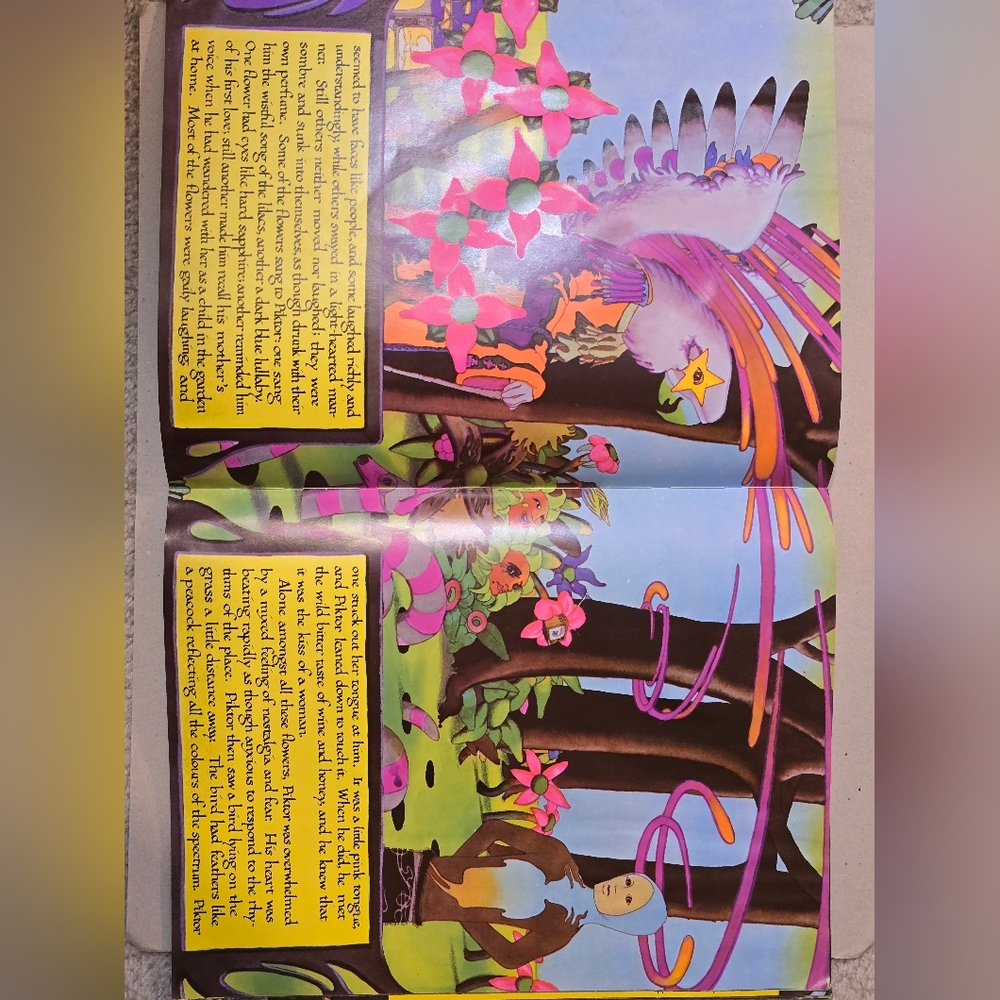 Vintage High Tide 'Metamorphasis' By Hermann Hesse - Picture 4 of 13